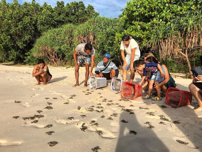 Bí quyết du lịch Côn Đảo trong vài ngày từ A đến Z