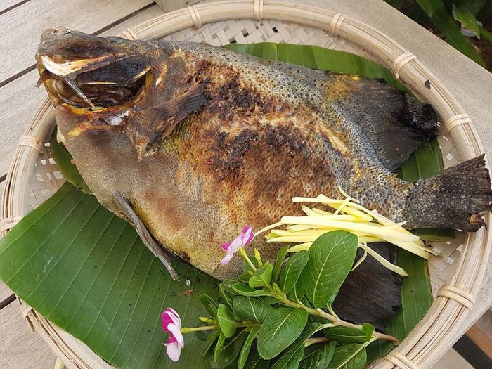 Thưởng thức đặc sản Cá nanh heo Côn Đảo nổi tiếng khắp mọi miền