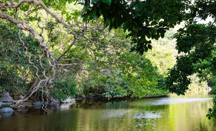 Bãi Biển Bí Ẩn (Secret Beach) ở Côn Đảo và những điều kỳ bí chờ đợi bạn khám phá 3