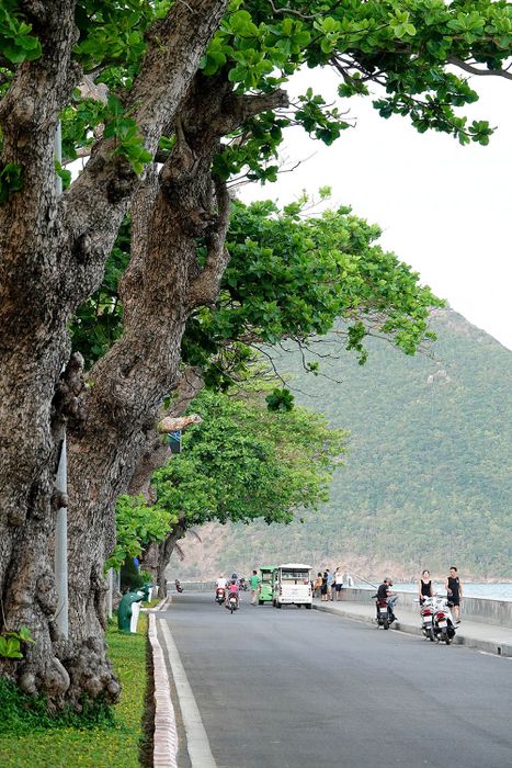 Côn Đảo mùa biển động, không cần nắng mới khiến nơi này trở nên mộng mơ.