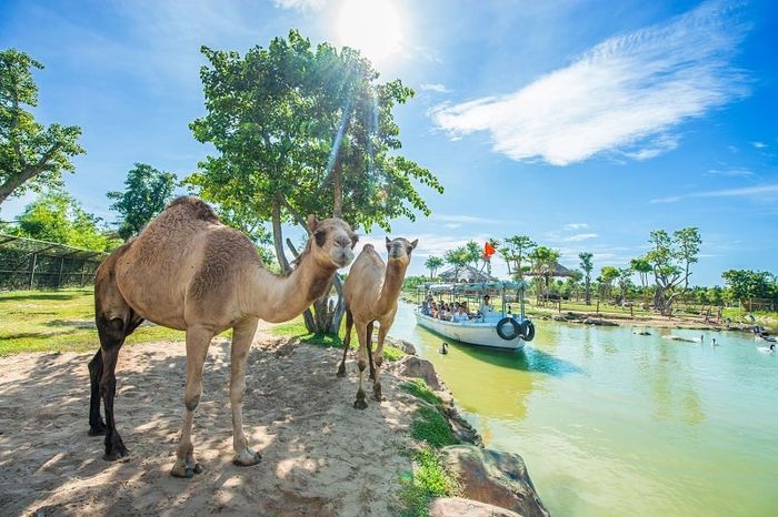 River Safari Nam Hội An