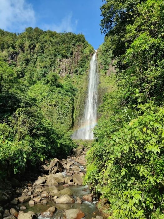 Khám phá vẻ đẹp tuyệt vời của hòn ngọc Guadeloupe ở vùng biển Caribe