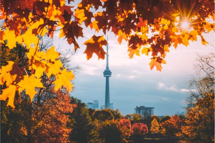 Toronto vẫn là một trong những thành phố đông dân và đa văn hóa hàng đầu trên thế giới.