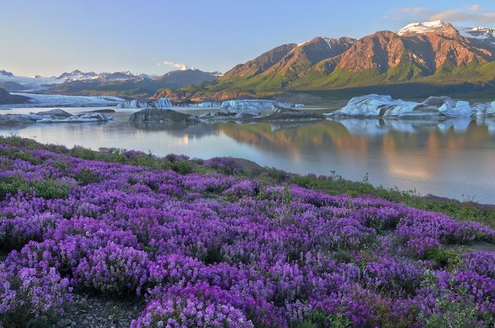 Du lịch Alaska, nơi trải nghiệm độc đáo 10