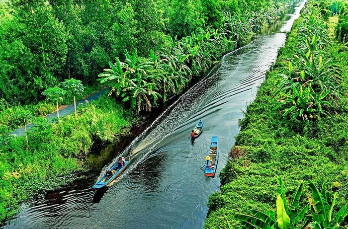 Khám phá vẻ đẹp độc đáo của Cà Mau và các điểm tham quan thú vị