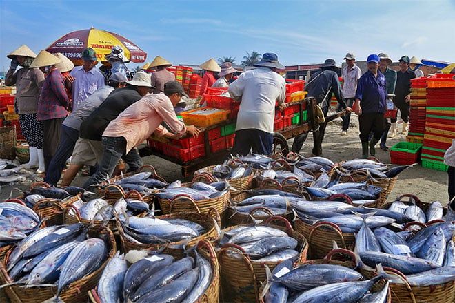 chợ hải sản Đà Nẵng 3