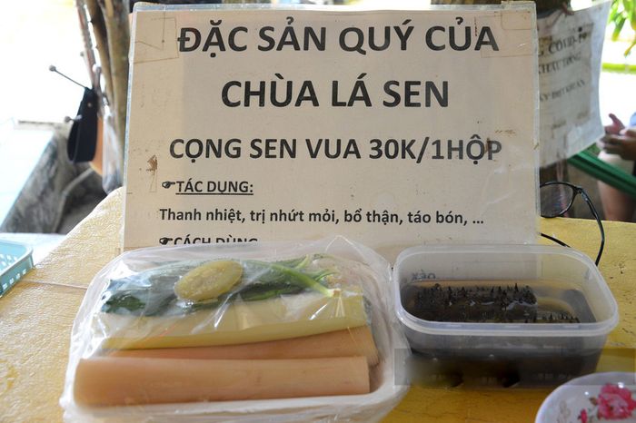 Vãn cảnh chùa Lá Sen, chiêm ngưỡng sự tráng lệ của loài sen khổng lồ