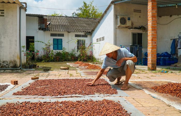 Bạn đã thử Cacao Mười Cương thơm ngon ở Tây Đô chưa? 7