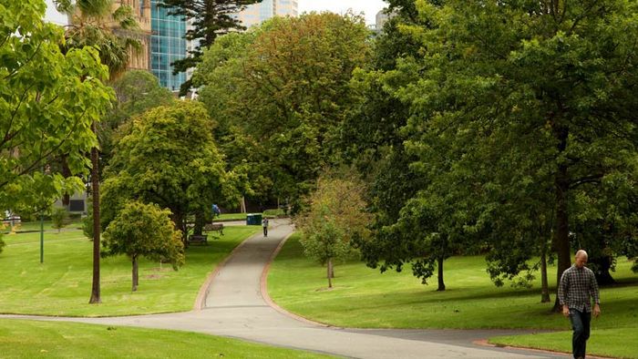 Khám phá Fitzroy Gardens, trái tim xanh của Melbourne