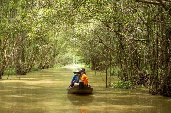 Khu du lịch sinh thái Gáo Giồng, tổ ấm của các loài chim lần thứ tám