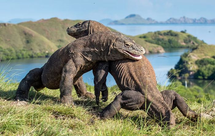 7 điểm đến tuyệt vời của thiên nhiên trên thế giới khiến người yêu du lịch phải lòng 11