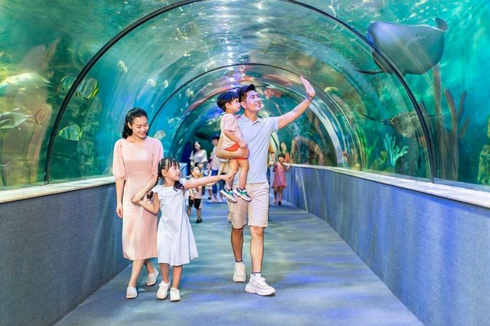 Thủy cung Times City (Vinpearl Aquarium) là điểm đến không thể bỏ qua với diện tích lên đến 4.000 m2. Với hơn 30.000 sinh vật biển sinh sống, bao gồm cả những loài hiếm như chim cánh cụt và cua nhện, thủy cung này tạo ra một không gian đại dương tuyệt vời ngay giữa thành phố.