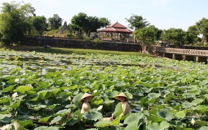 Hồ Tâm Lặng