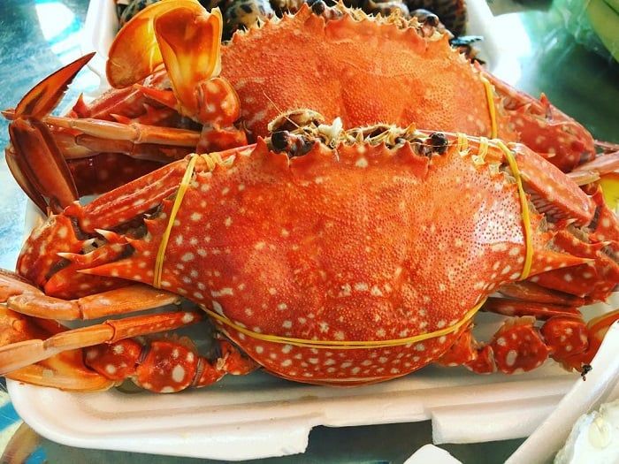 Ghẹ Hàm Ninh Phú Quốc