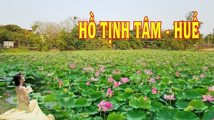 Hồ Tịnh Tâm