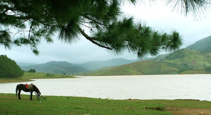 Khu du lịch Thung Lũng Vàng