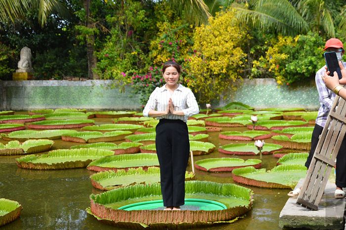 Thưởng ngoạn vẻ đẹp của chùa Lá Sen, khám phá sự vĩ đại của 'vua' sen khổng lồ 7