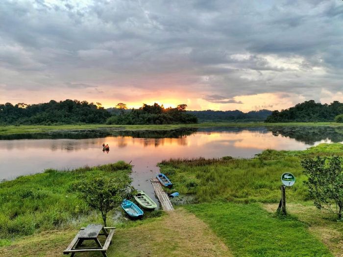 Một ngày thư thả tại Bàu Sấu, nơi yên bình giữa nhịp sống hối hả của thành phố