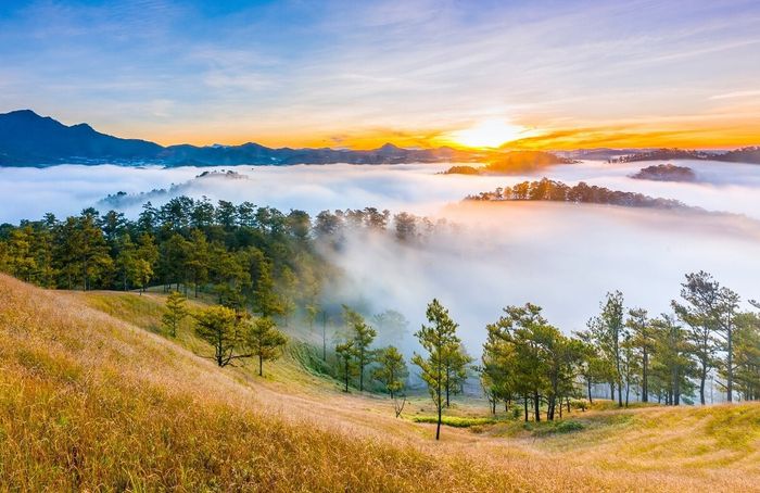 Khu du lịch Thung Lũng Vàng