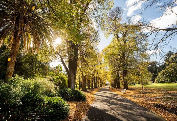 Khám phá Công viên Fitzroy, trái tim xanh tươi của Melbourne