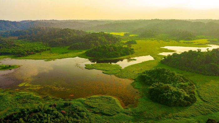 Một ngày trốn tránh đến Bàu Sấu, nơi yên bình giữa sự ồn ào của thành phố