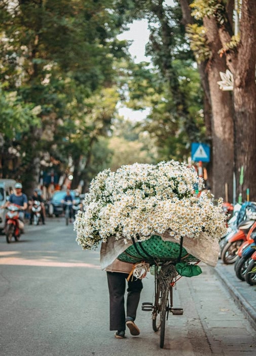 Khám phá ngay danh sách Top thiên đường cafe sống ảo tại Cần Thơ cực kỳ đặc sắc