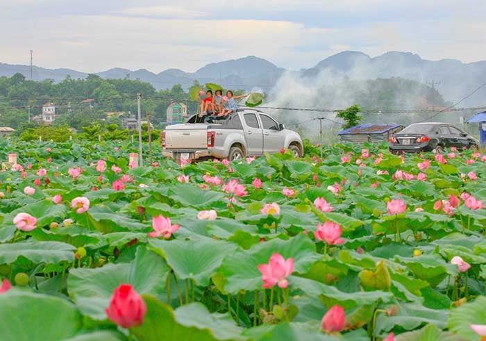 Du lịch gia đình gần Hà Nội