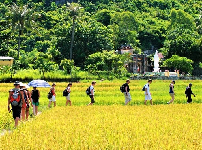 Chùa Hải Tạng