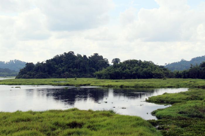 Một ngày trốn vào Bàu Sấu, nơi yên bình giữa nhịp sống hối hả của thành phố