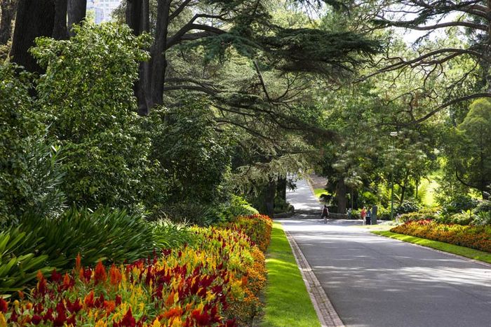 Khám phá Fitzroy Gardens, trái tim xanh của Melbourne