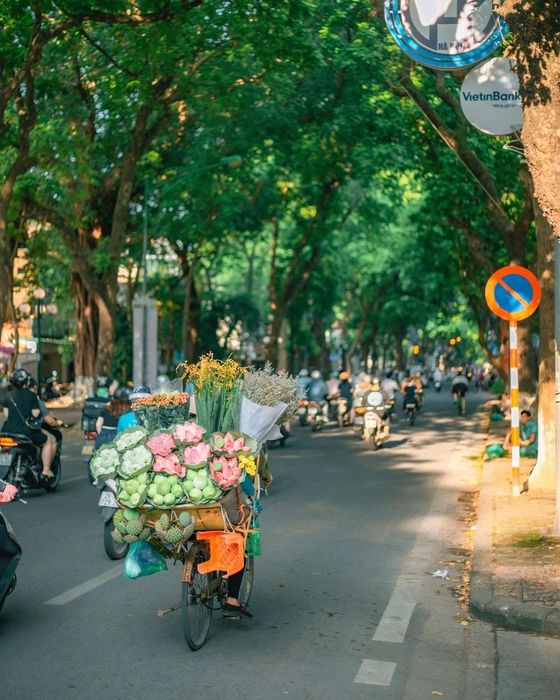 Điểm đến du lịch trong ngày ở miền Bắc