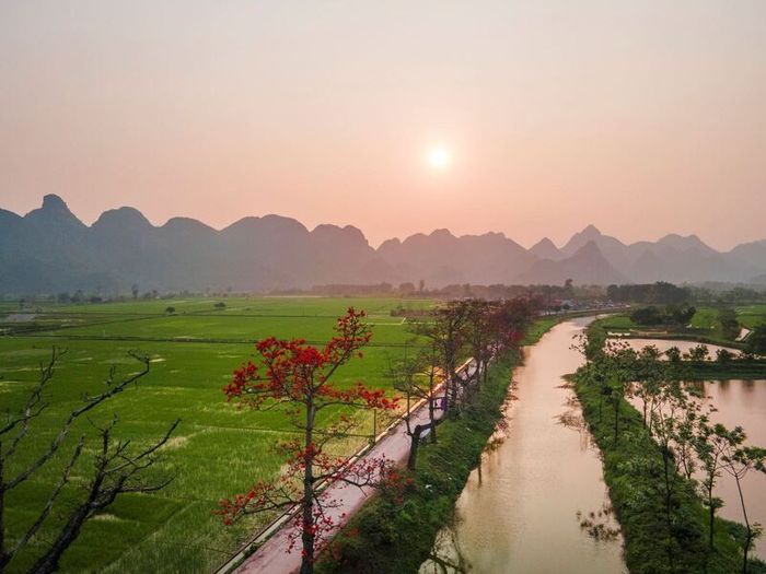 Thôn Đoan Nữ: Những hàng cây hoa gạo tại khu vực xã An Mỹ, huyện Mỹ Đức, là một trong những địa điểm chụp ảnh mùa hoa gạo tháng 3 đẹp nhất ở Hà Nội. Hàng cây trải dài dọc theo dòng sông êm đềm, tán hoa in bóng xuống mặt nước tạo nên một khung cảnh thanh bình không thể chối từ.