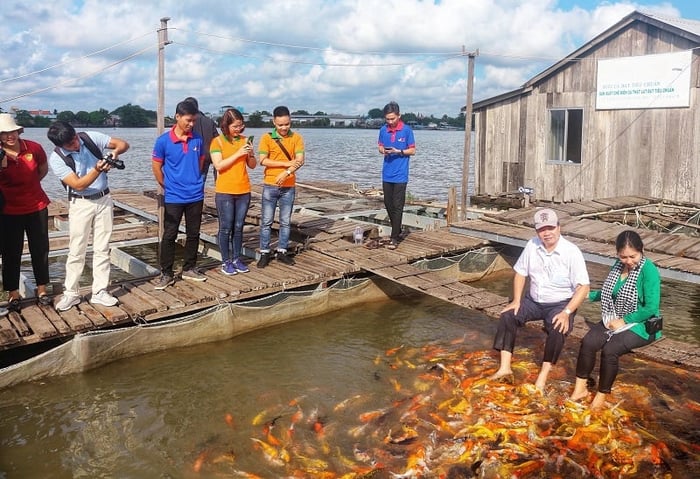 Khám phá du lịch Cồn Sơn Cần Thơ