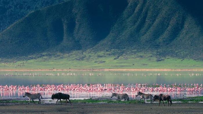 Bức tranh du lịch Tanzania vẫn lung linh với sắc màu huy hoàng