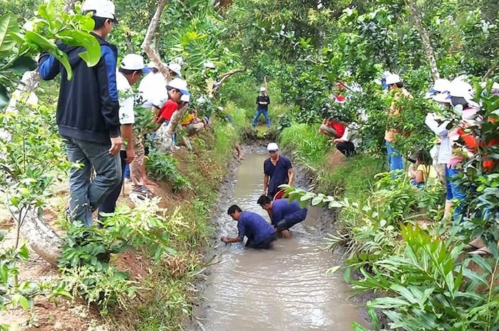 Du lịch Cồn Sơn Cần Thơ