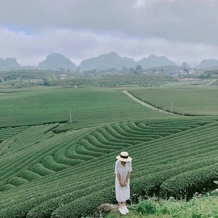 Bản đồ sao cung hoàng đạo