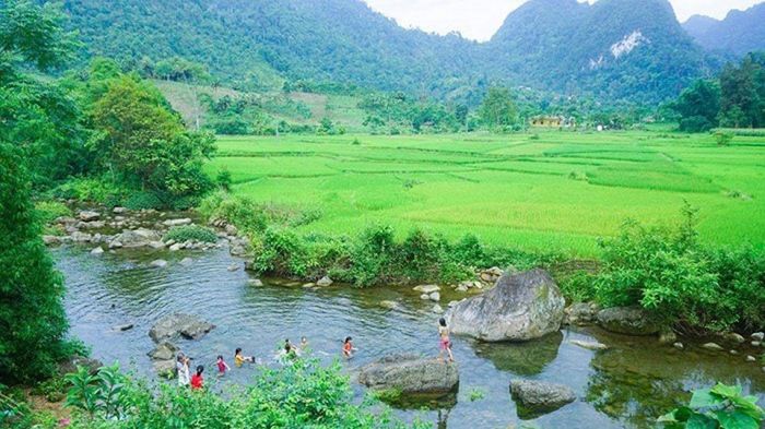 Khám phá Vườn Quốc gia Xuân Sơn cùng với hệ sinh thái đa dạng và phong phú 8