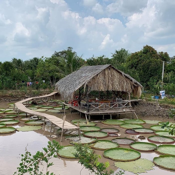 Du lịch Cồn Sơn Cần Thơ