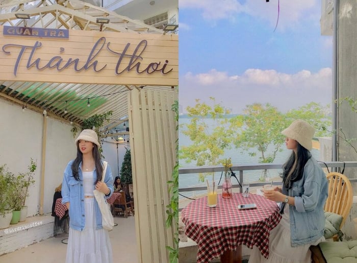 cafe tarot hà nội