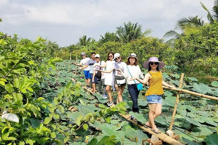 Khám phá du lịch Cồn Sơn Cần Thơ