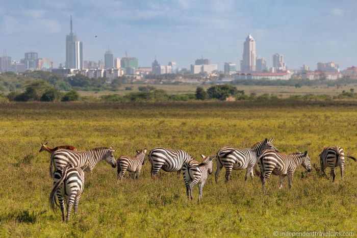 Khám phá vẻ đẹp hoang dã của thiên nhiên khi đến thủ đô Nairobi.