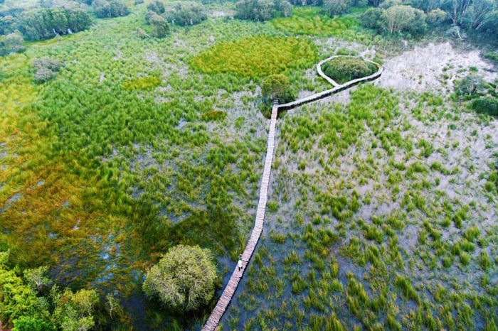 Trải nghiệm không gian yên bình tại Khu du lịch Cánh Đồng Bất Tận