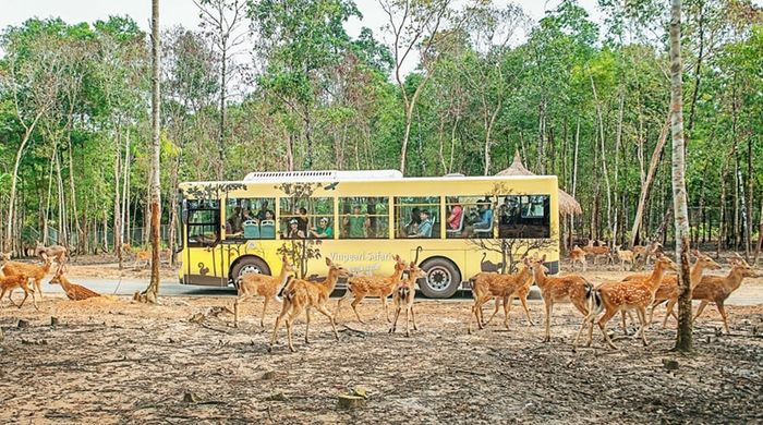 món bánh tráng cuốn thịt heo ở Hà Nội