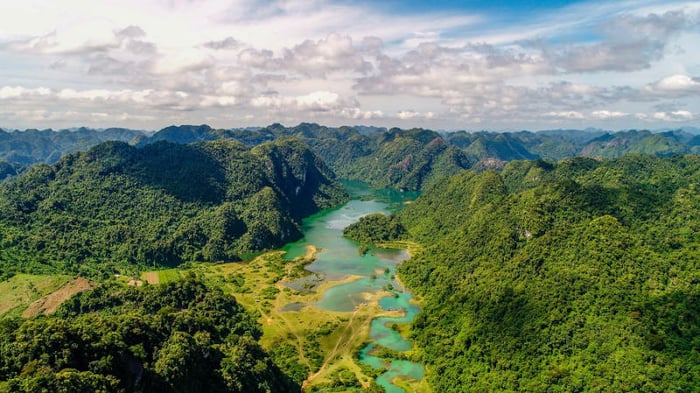 Chinh phục vẻ đẹp tuyệt vời tại thảo nguyên Đồng Lâm thơ mộng 5