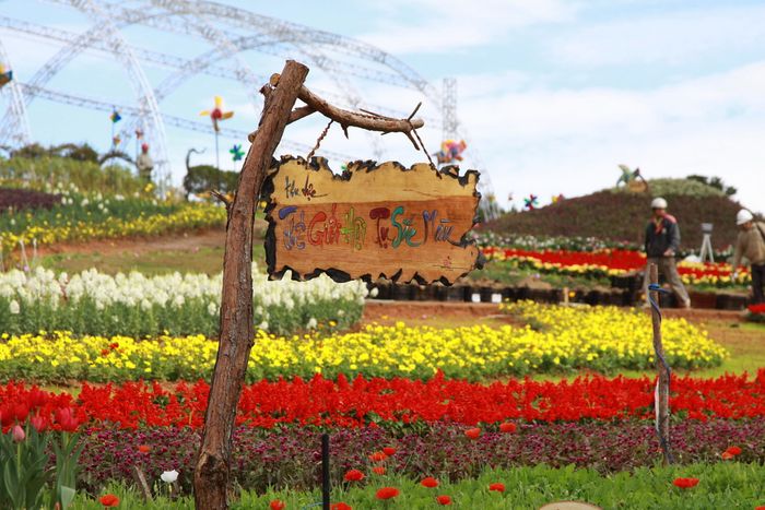 Chuyến du lịch Đà Lạt vào tháng Mười Hai sẽ là một khoảnh khắc đáng nhớ không thể nào quên