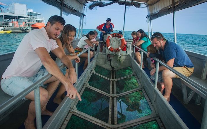 Rạn san hô Great Barrier, một tác phẩm tự nhiên ngoạn mục ngoài khơi xa Queensland 4