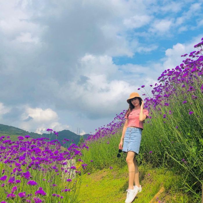 Chinh phục đèo Pha Đin với những cung đường thú vị