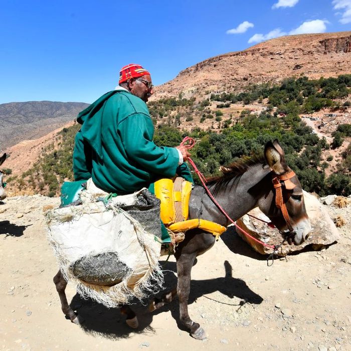 Morocco - Nơi hội tụ sắc màu giữa châu Phi và châu Âu 4