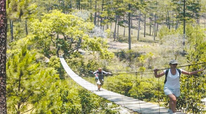 Khám phá những bí mật của Đà Lạt trong tháng Hai khiến mọi người đều háo hức mời nhau đến 9