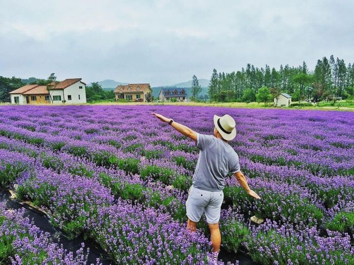 Rực rỡ sắc tím mùa hoa lavender Đà Lạt - Khoảnh khắc đặc biệt không thể bỏ lỡ 2